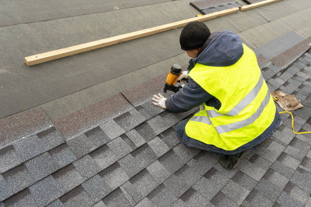 Best Roof Gutter Cleaning  in Dunlap, TN